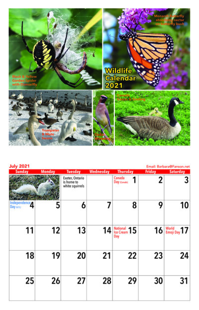 Wildlife Calendar 2021