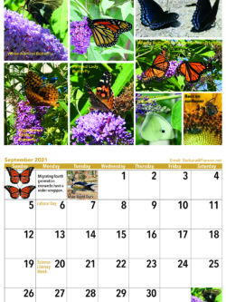 Butterfly Sept Calendar